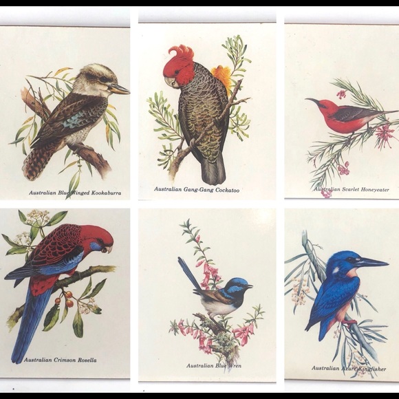 Vintage Jason Australian Bird Coasters Set of 6 - Picture 2 of 8